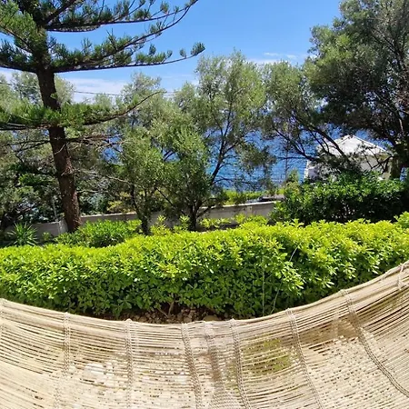 Appartement Vue - T2 Grisgione - Bastia