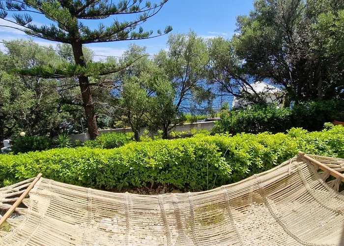 Apartamento Vue - T2 Grisgione - Bastia